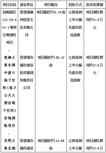景德鎮(zhèn)市昌南新區(qū)LJ1-03-A01-1地塊、瓷都大道東側(cè)中渡口地下空間（格蘭云天大酒店地下空間）、光明大道北側(cè)利民路西側(cè)地下空間（青少年宮地下空間）、規(guī)劃二路北側(cè)地下空間地塊二（加速基地地下空間）、規(guī)劃二路北側(cè)地下空間地塊一（加速基地地下空間）、景德大道南側(cè)天寶橋西側(cè)地塊、景興大道東側(cè)如意路北側(cè)地下空間(社會公共服務(wù)